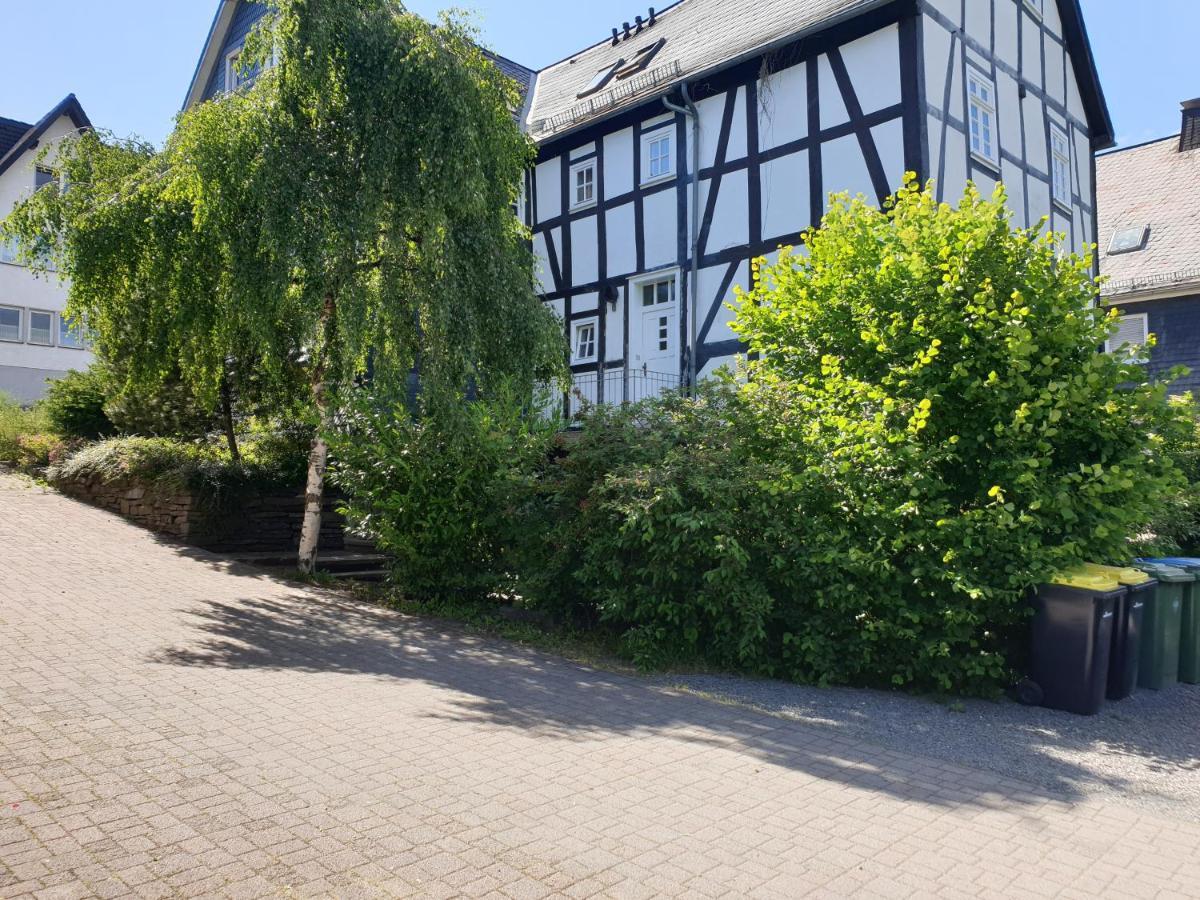 Neu Gemuetliche Ferienhaus Mit 3 Ferienwohnungen "Max " , " Leonore " Und "Beatrice" ハレンベルク エクステリア 写真